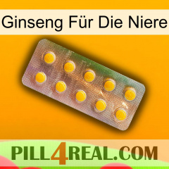Ginseng Für Die Niere new11